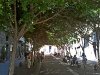 Die Fußgängerzone in Neapel-Chiaia ist schön schattig (© Redaktion - Portanapoli.com)