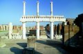 Das Forum in Pompeji (© Vito Arcomano - Fototeca ENIT)