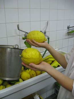 Zitronen in Likör-Fabrik Limoné in Neapel