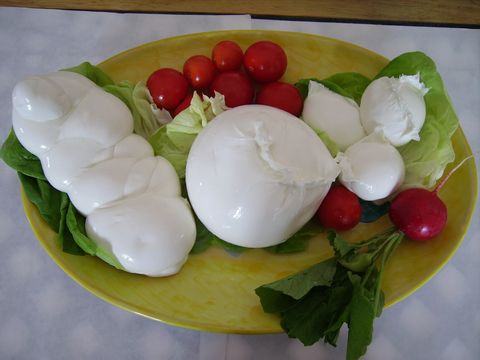 Spezialität aus Kampanien: Mozzarella