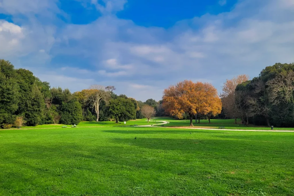 Zwischen Wiesen führen Spazierwege durch den Park